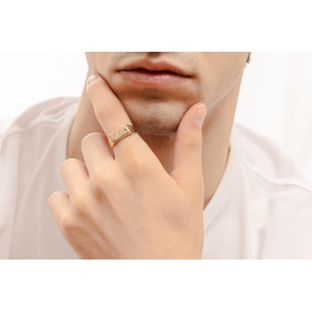 Δίχρωμο ανδρικό δαχτυλίδι 14Κ με ζιργκόν